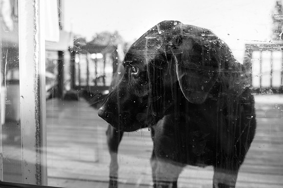 tylerleephotography-60423