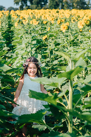 carol and iris photography-17335
