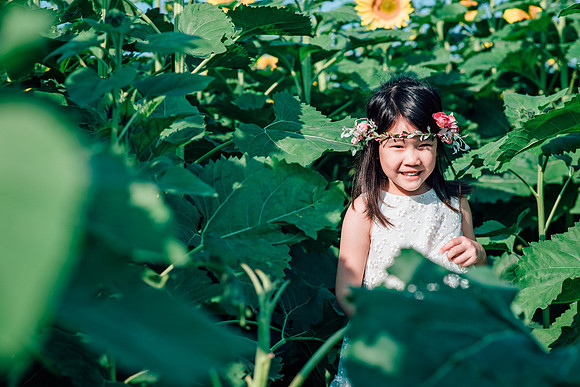 carol and iris photography-