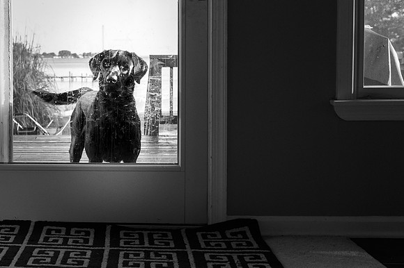 tylerleephotography-60409